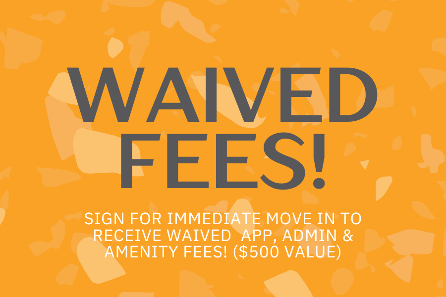Waived Fees Special!